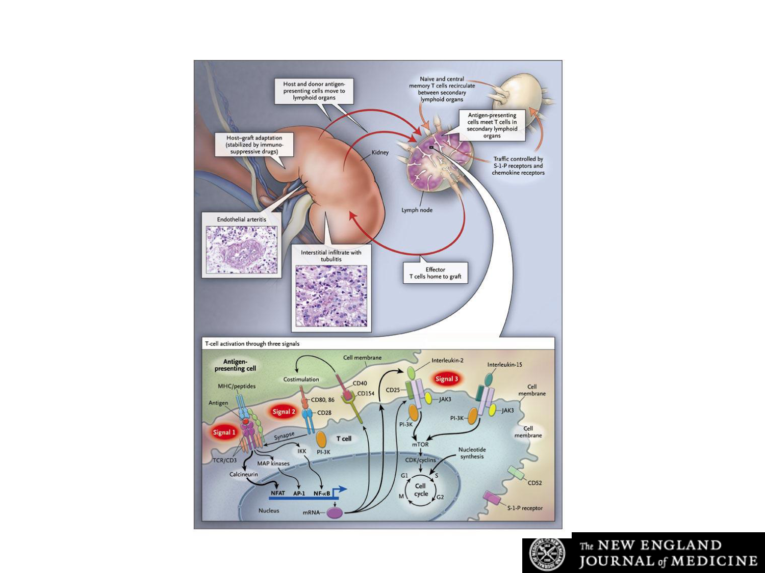 1ere 20.03 2026 Villard day 2 page 24