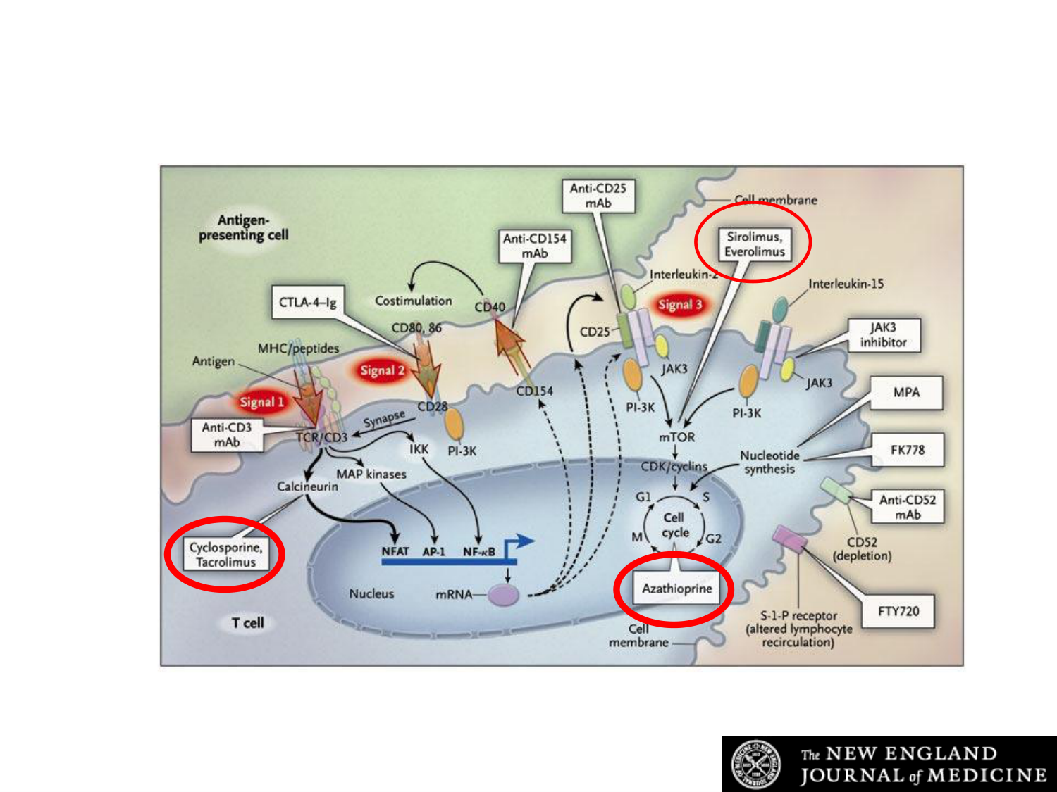 1ere 20.03 2026 Villard day 2 page 25