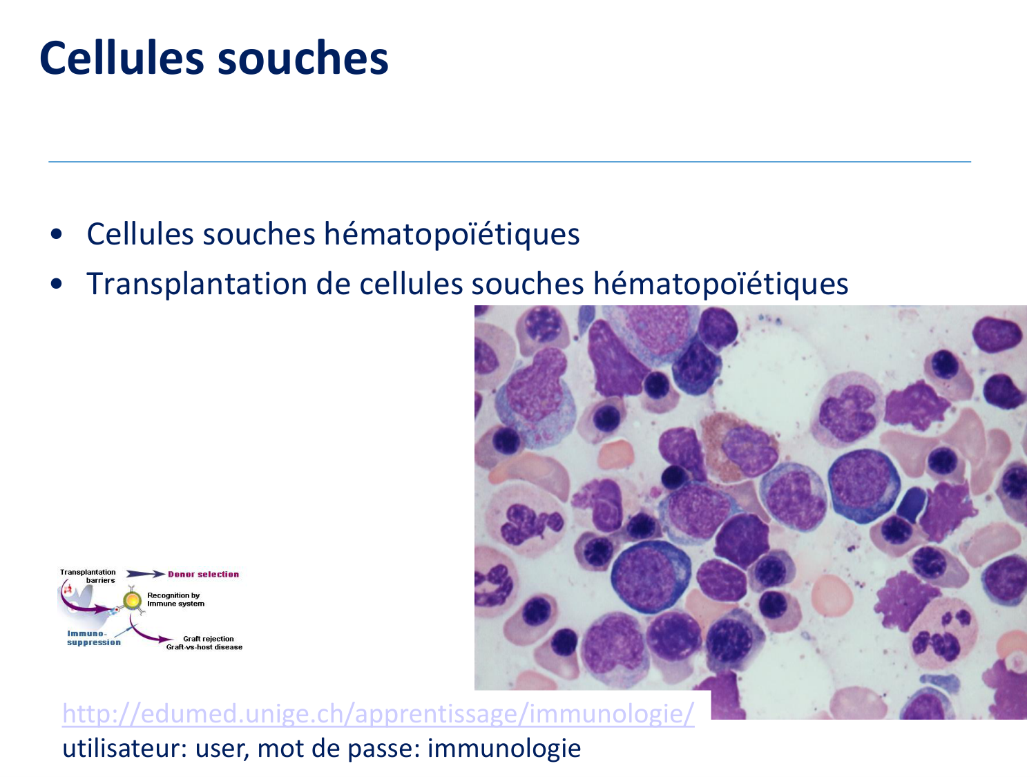 1ere 20.03 2026 Villard day 2 page 33