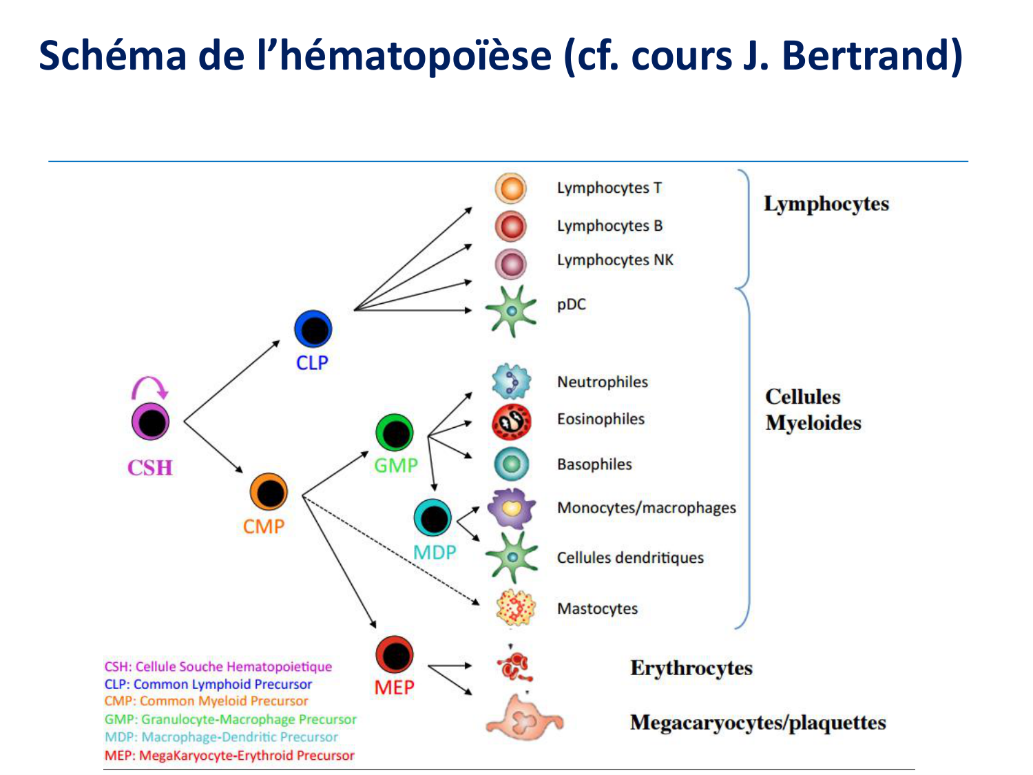 1ere 20.03 2026 Villard day 2 page 34