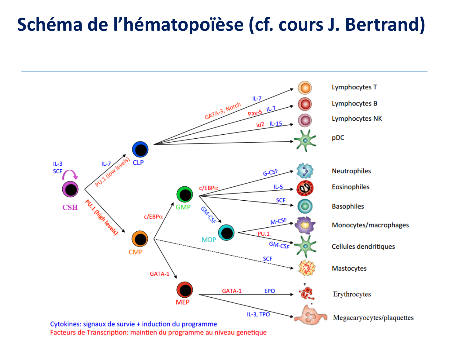 1ere 20.03 2026 Villard day 2 page 35