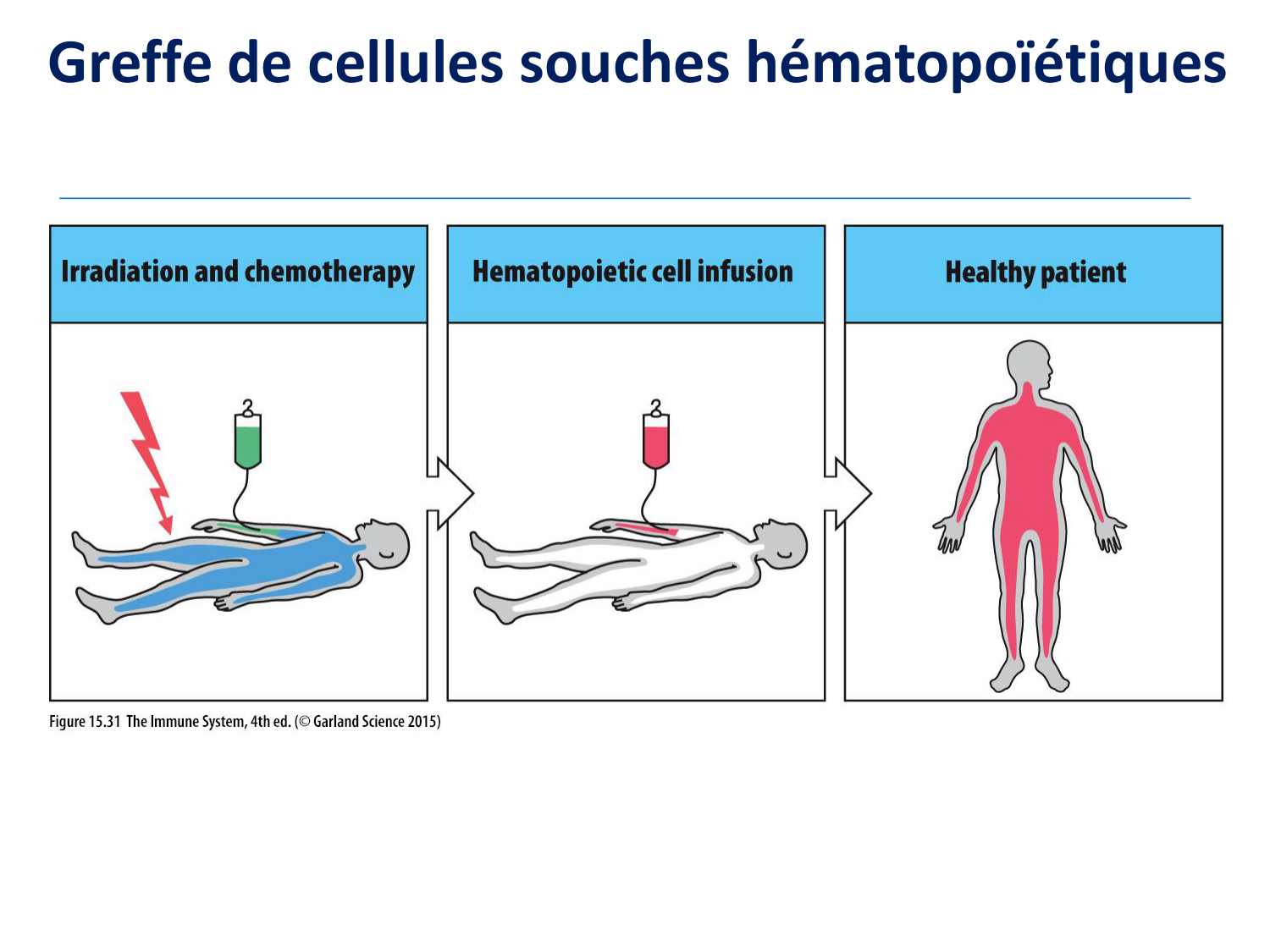 1ere 20.03 2026 Villard day 2 page 41