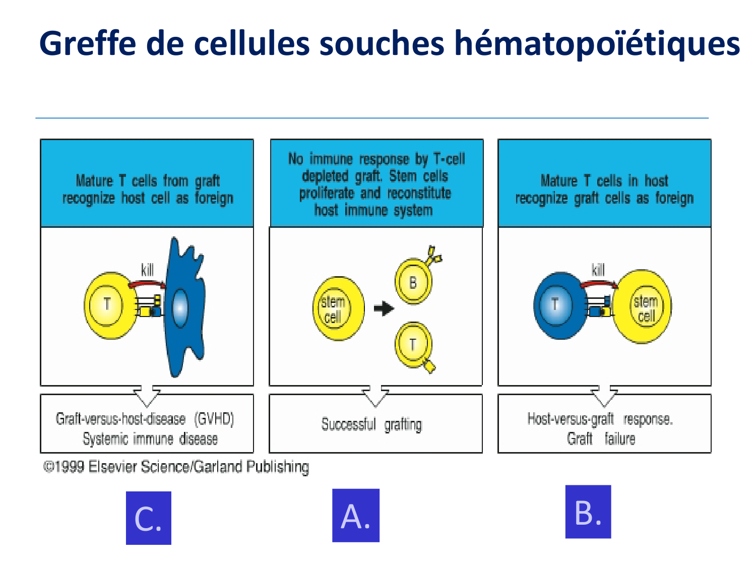 1ere 20.03 2026 Villard day 2 page 44