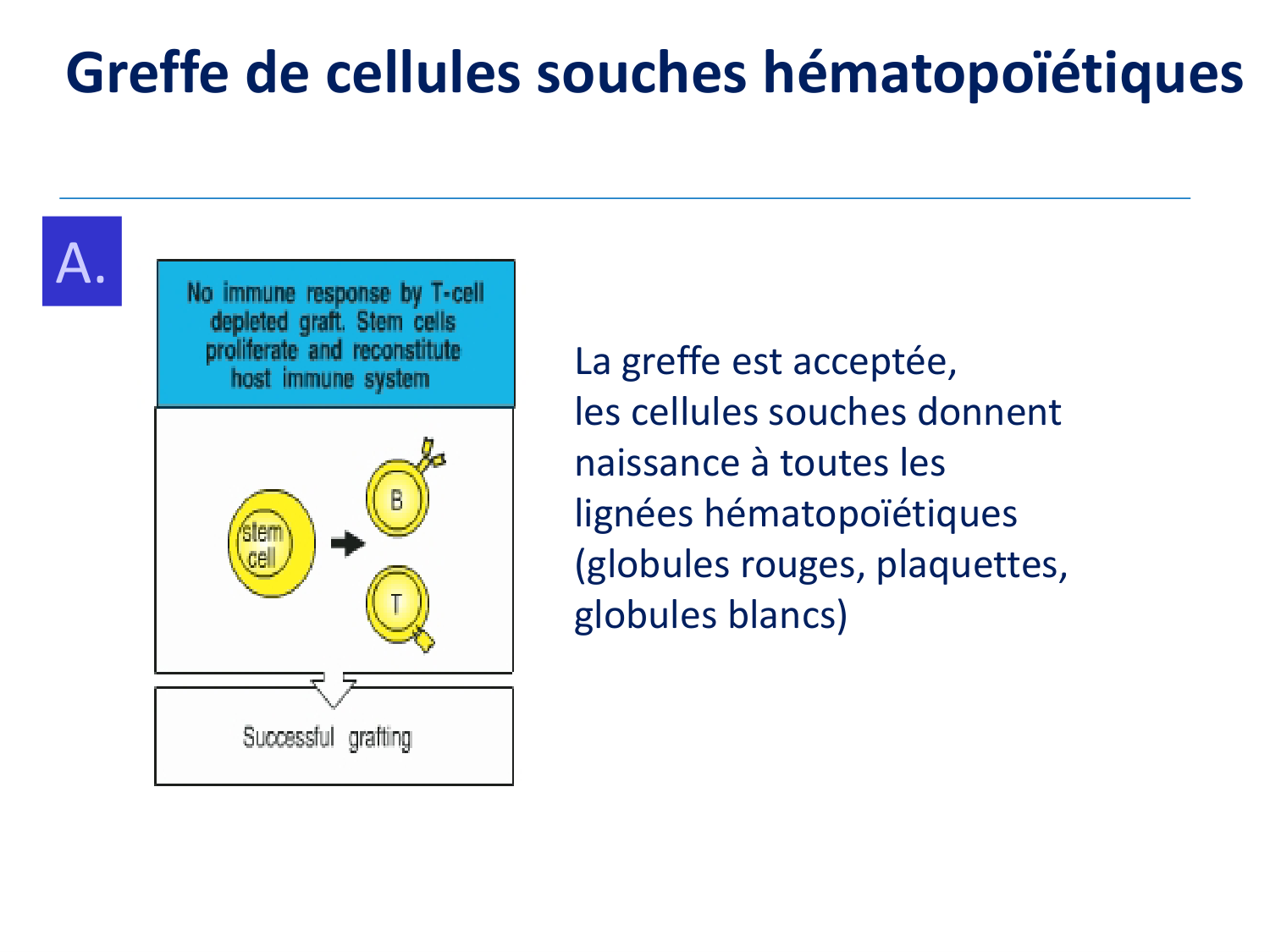 1ere 20.03 2026 Villard day 2 page 45