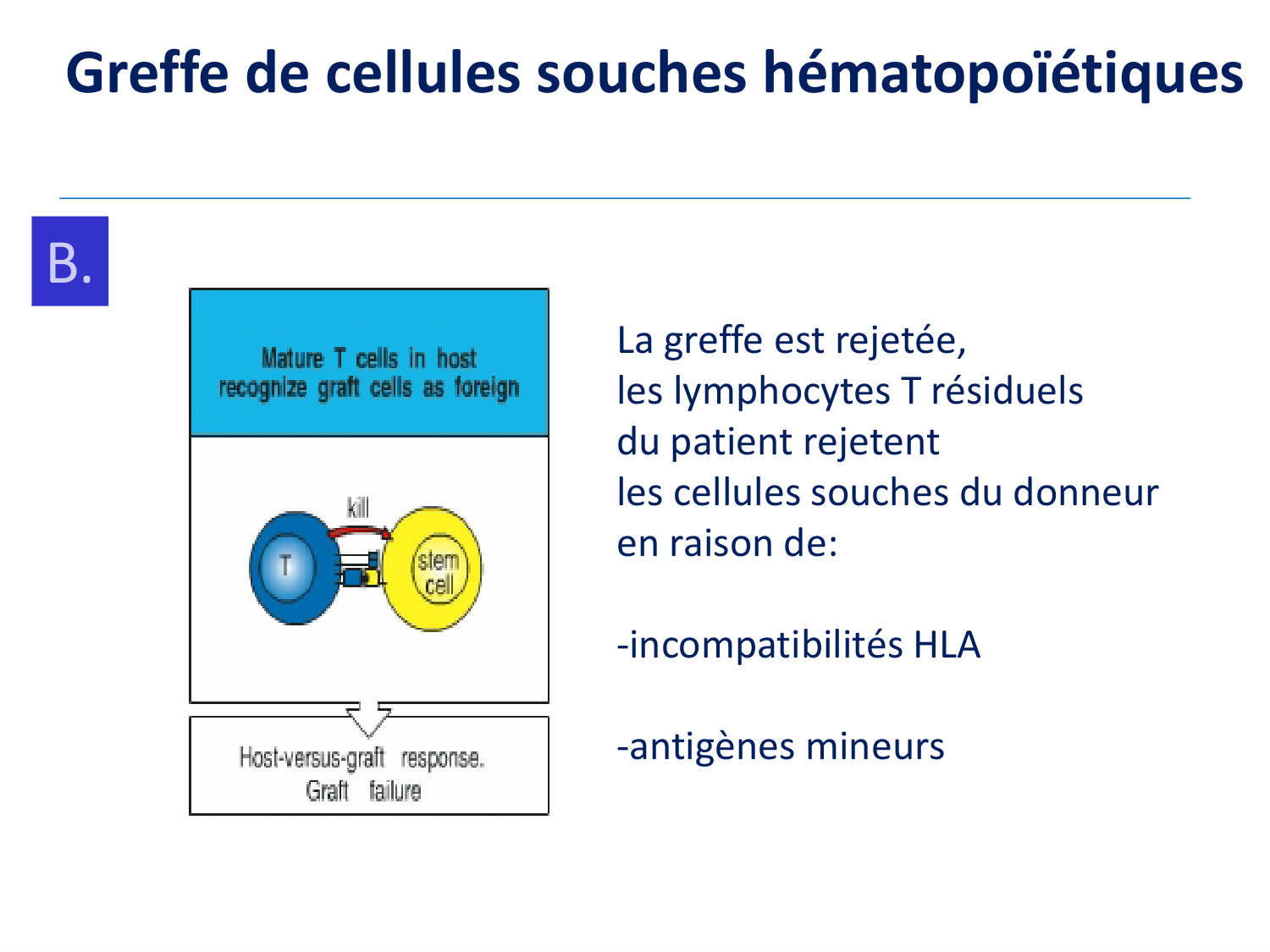 1ere 20.03 2026 Villard day 2 page 46