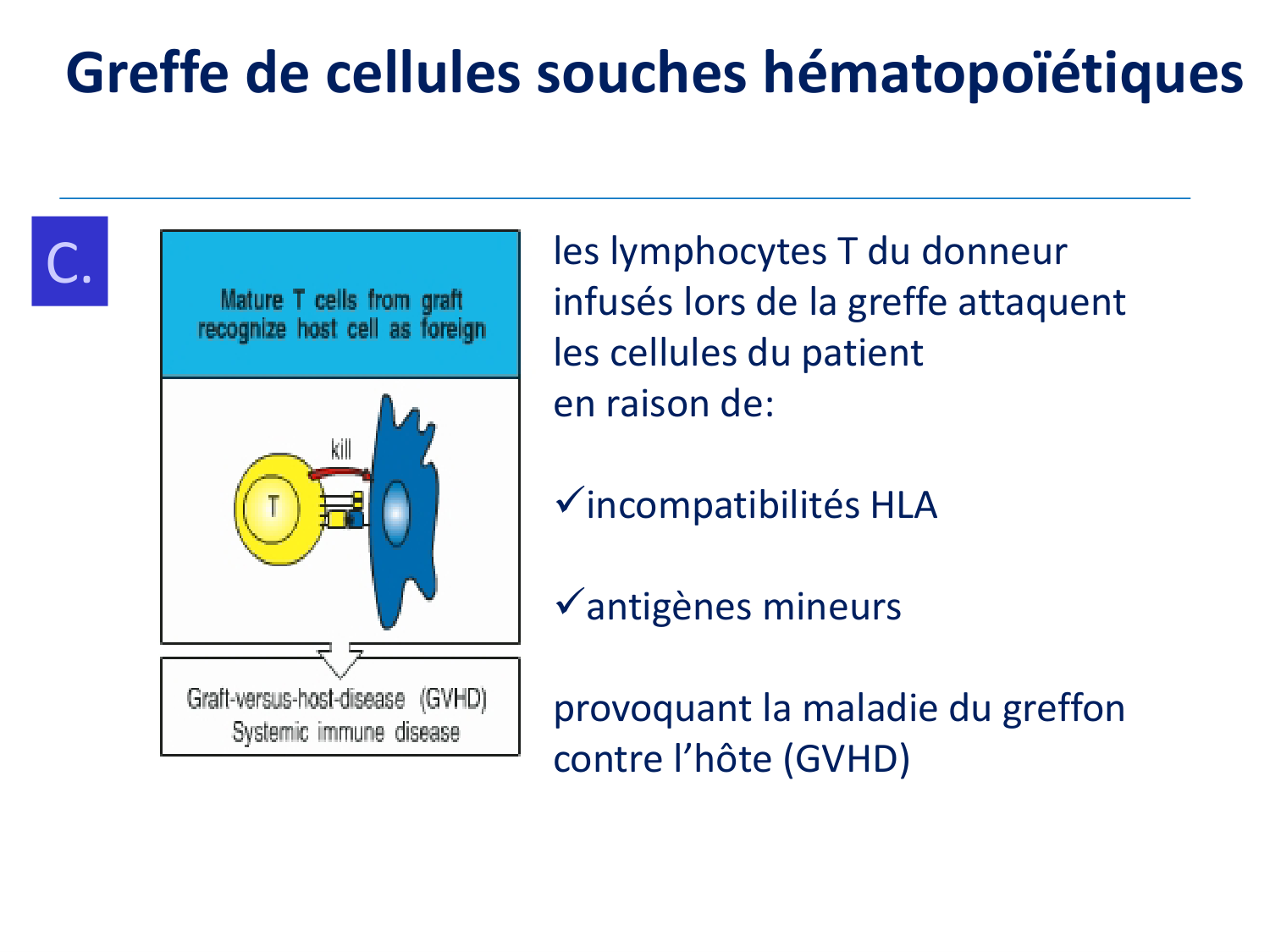1ere 20.03 2026 Villard day 2 page 47