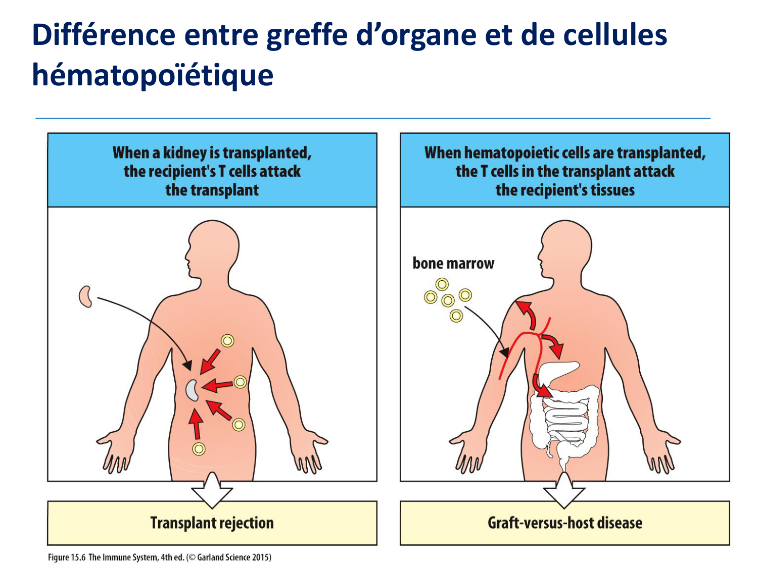 1ere 20.03 2026 Villard day 2 page 48