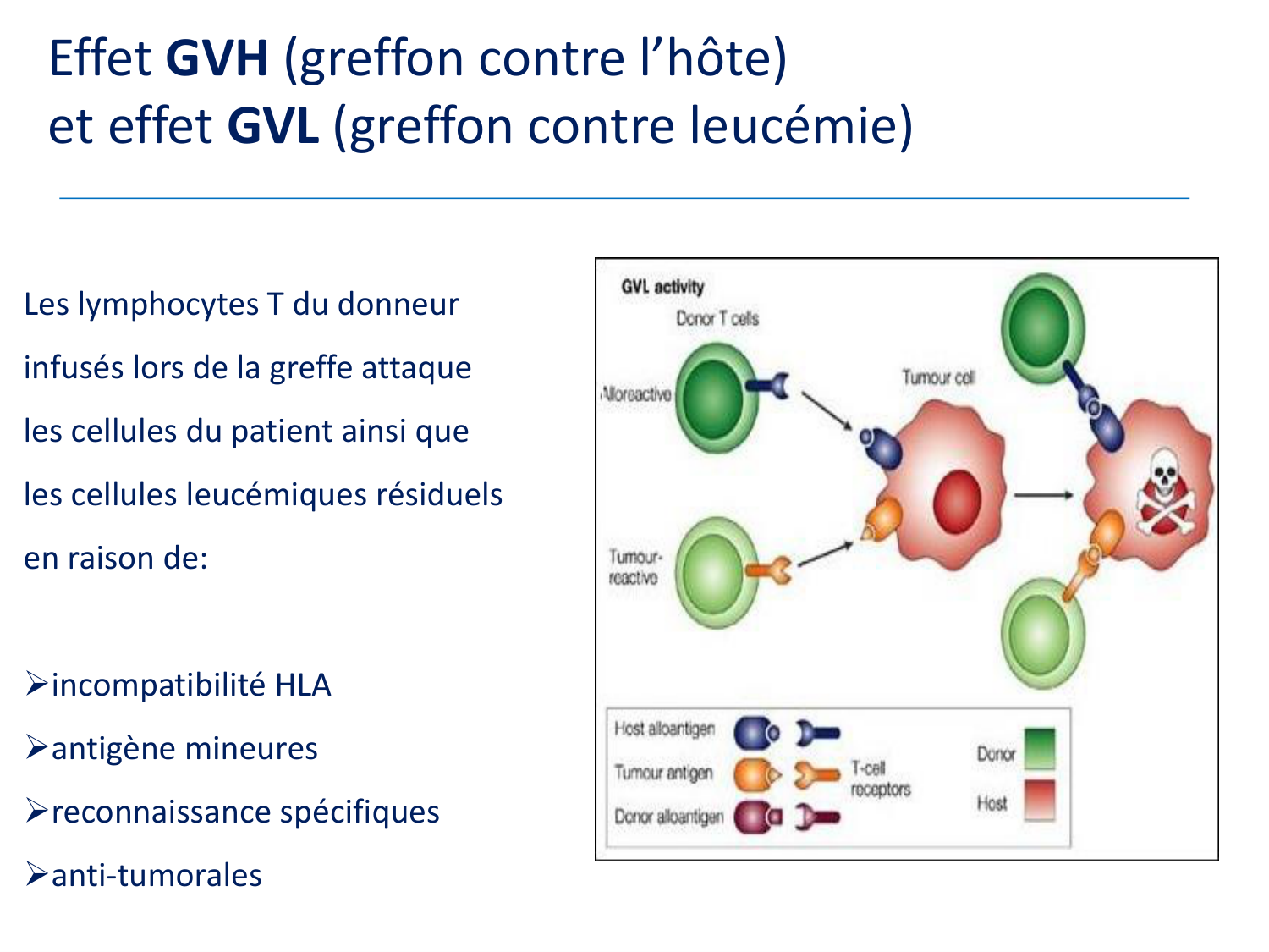 1ere 20.03 2026 Villard day 2 page 50