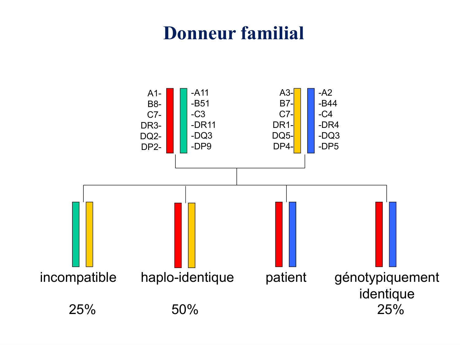 1ere 20.03 2026 Villard day 2 page 53