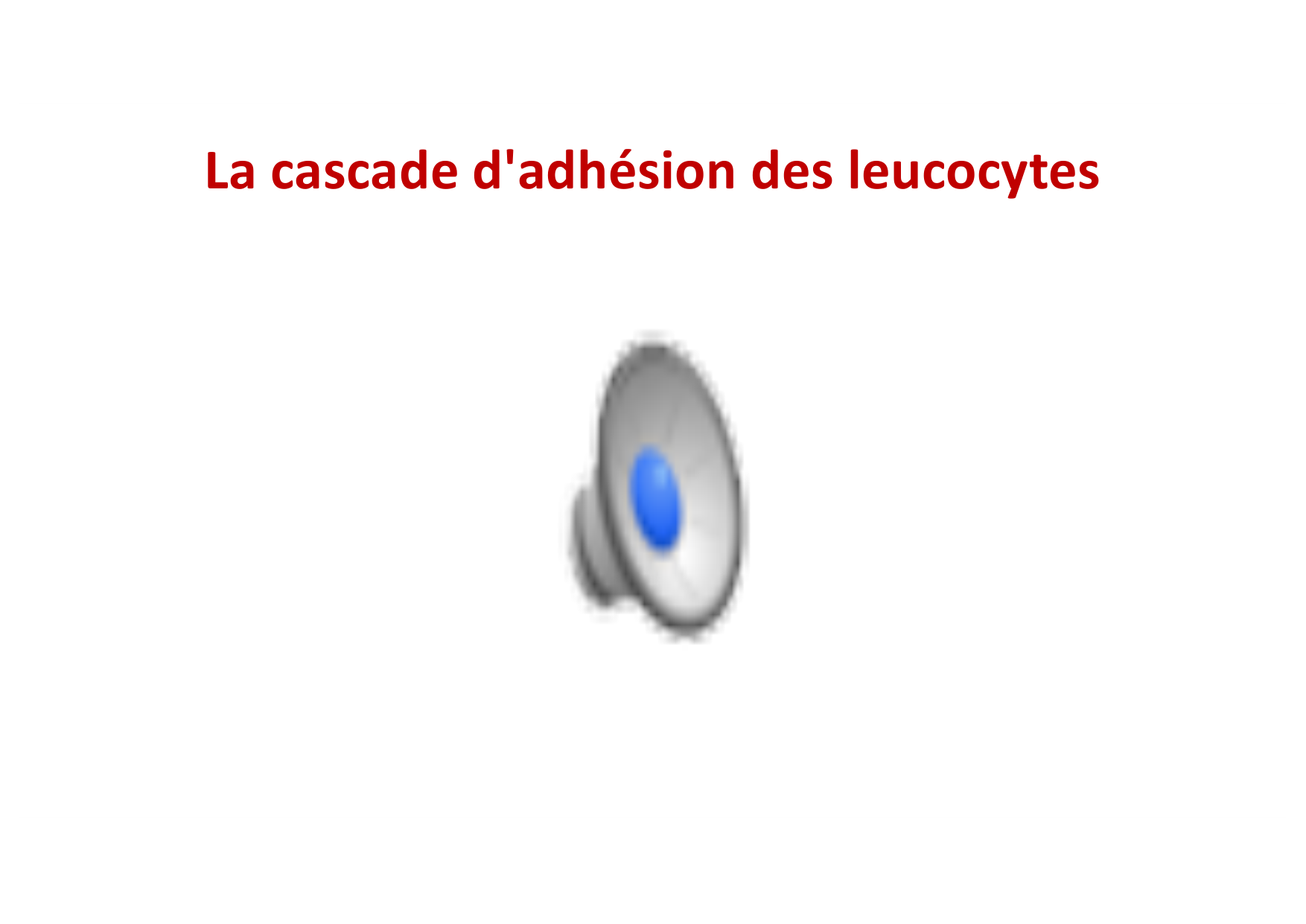 2026 Leukocyte extravasation Scheiermann page 3