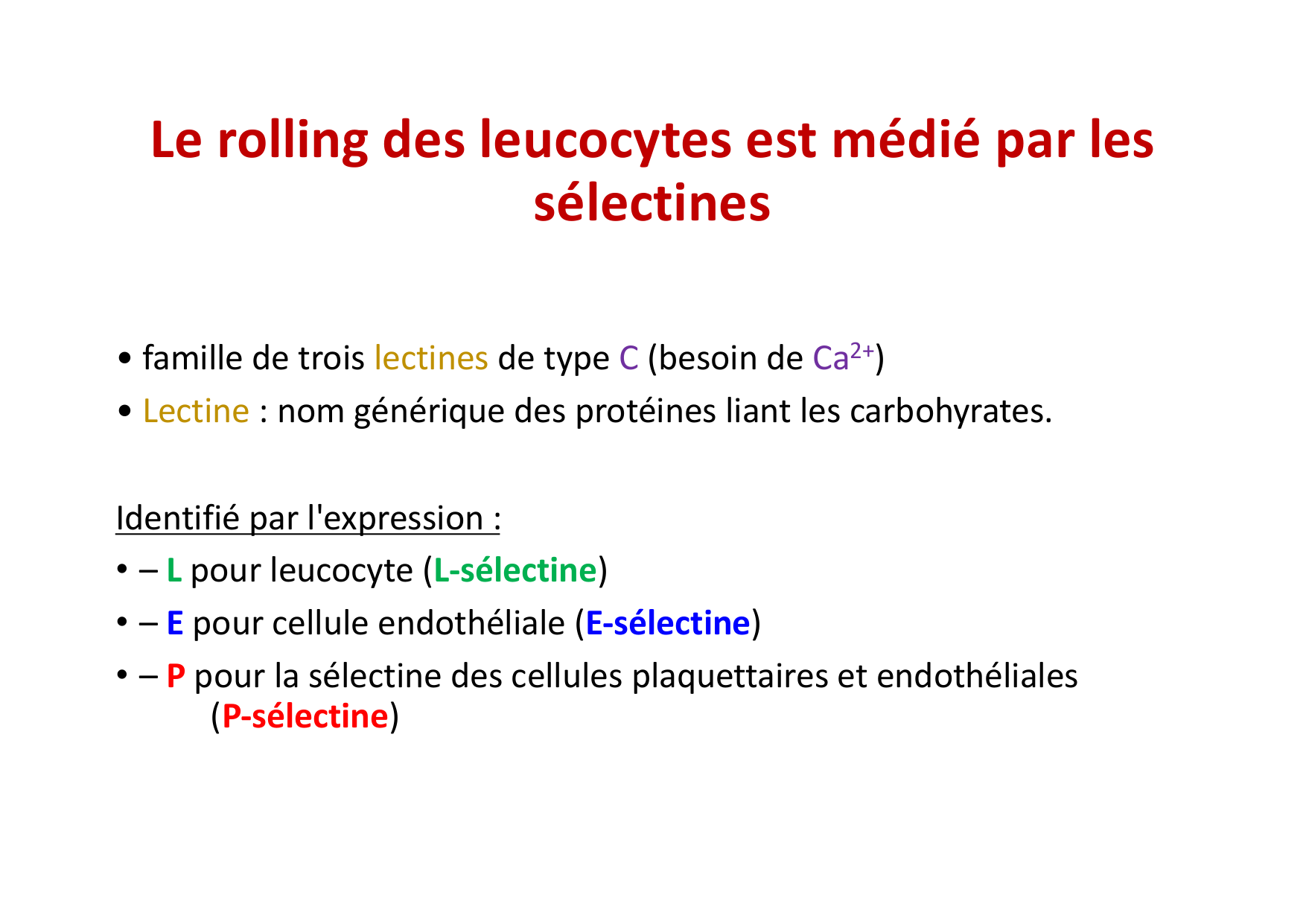 2026 Leukocyte extravasation Scheiermann page 12