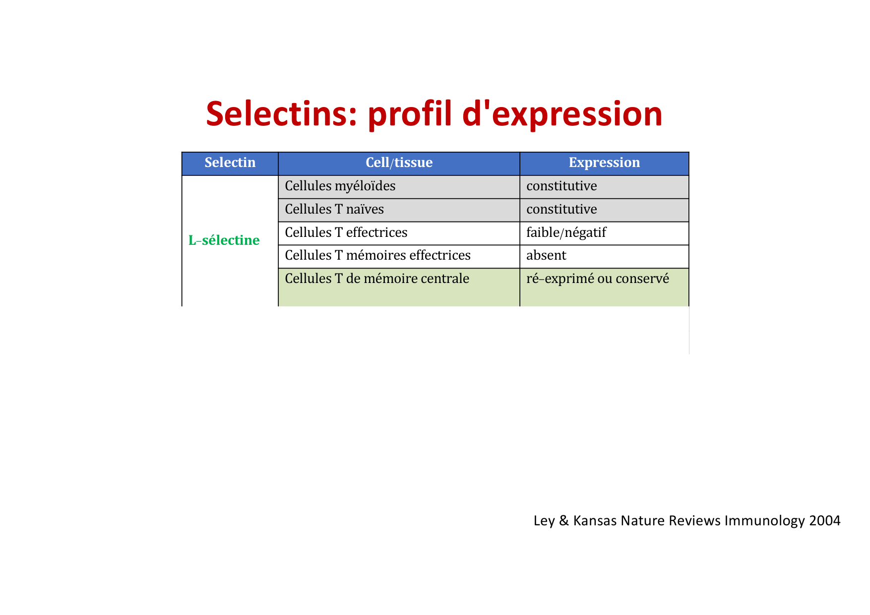 2026 Leukocyte extravasation Scheiermann page 15