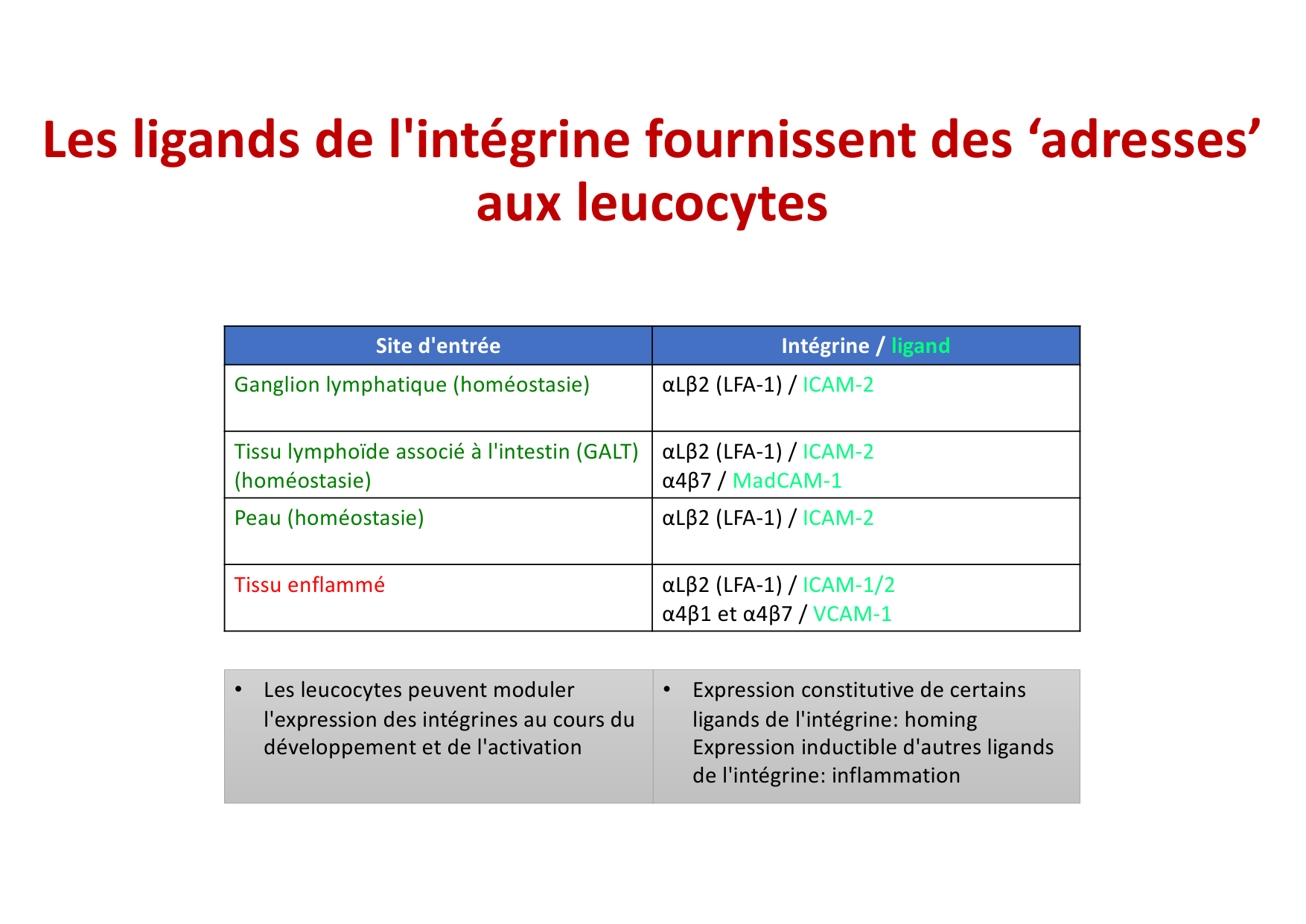 2026 Leukocyte extravasation Scheiermann page 31