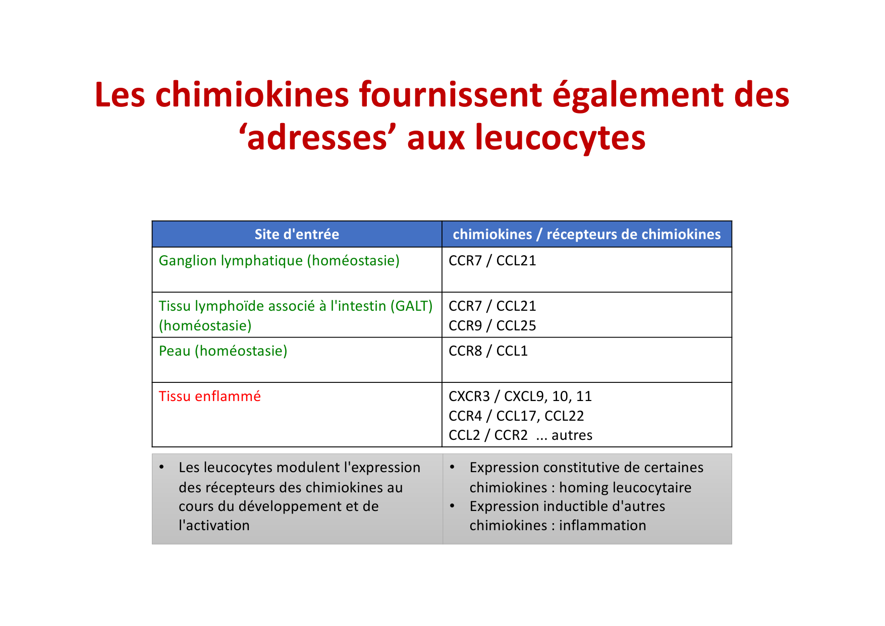 2026 Leukocyte extravasation Scheiermann page 32