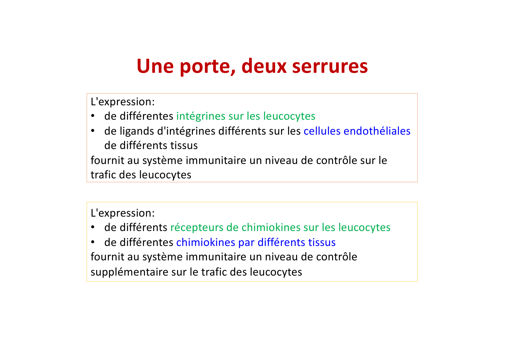 2026 Leukocyte extravasation Scheiermann page 33