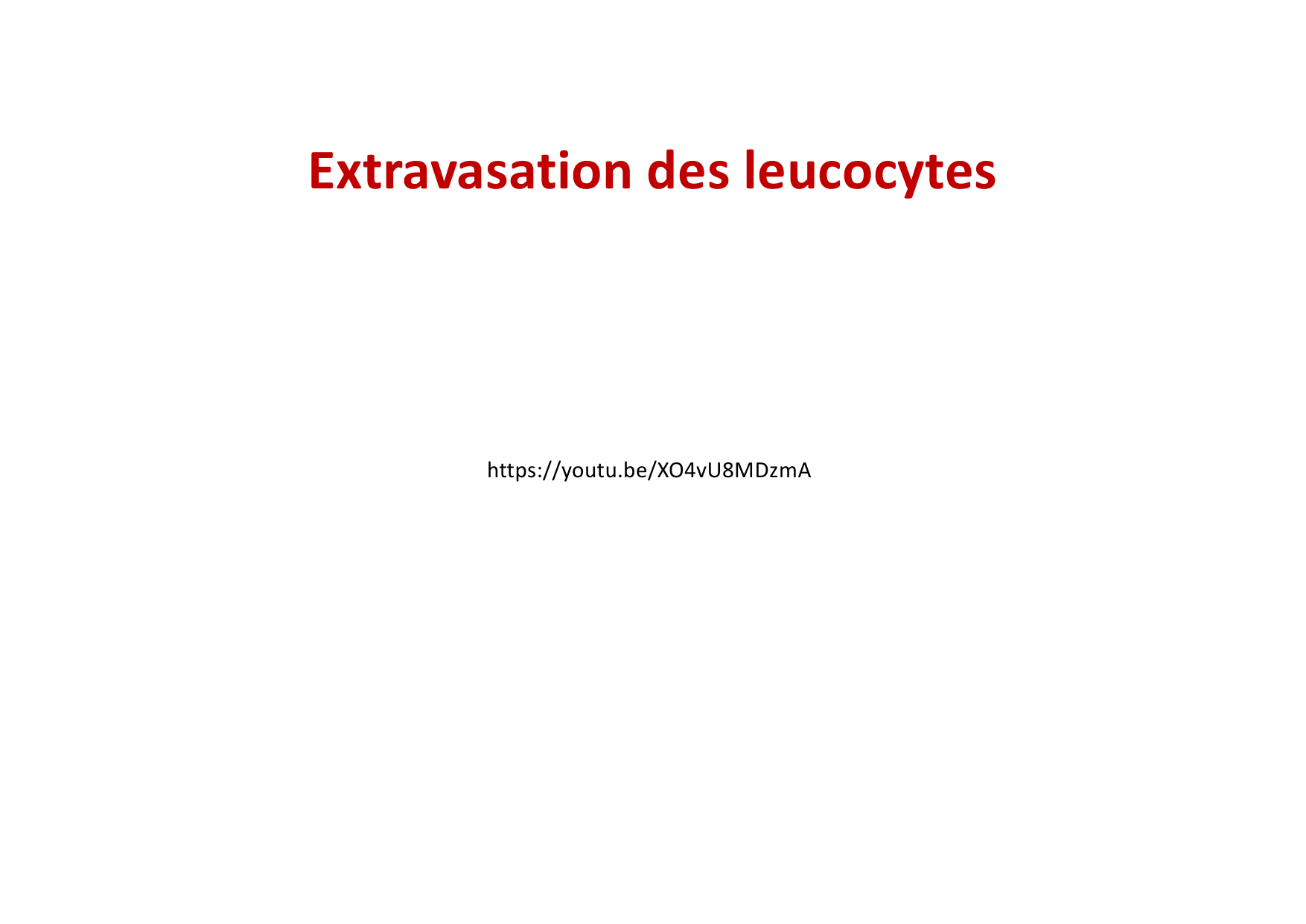 2026 Leukocyte extravasation Scheiermann page 34