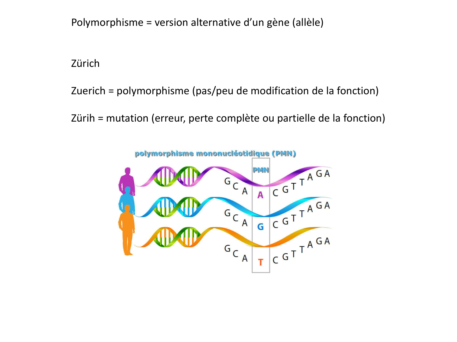 Cours HLA 2026 jv page 10