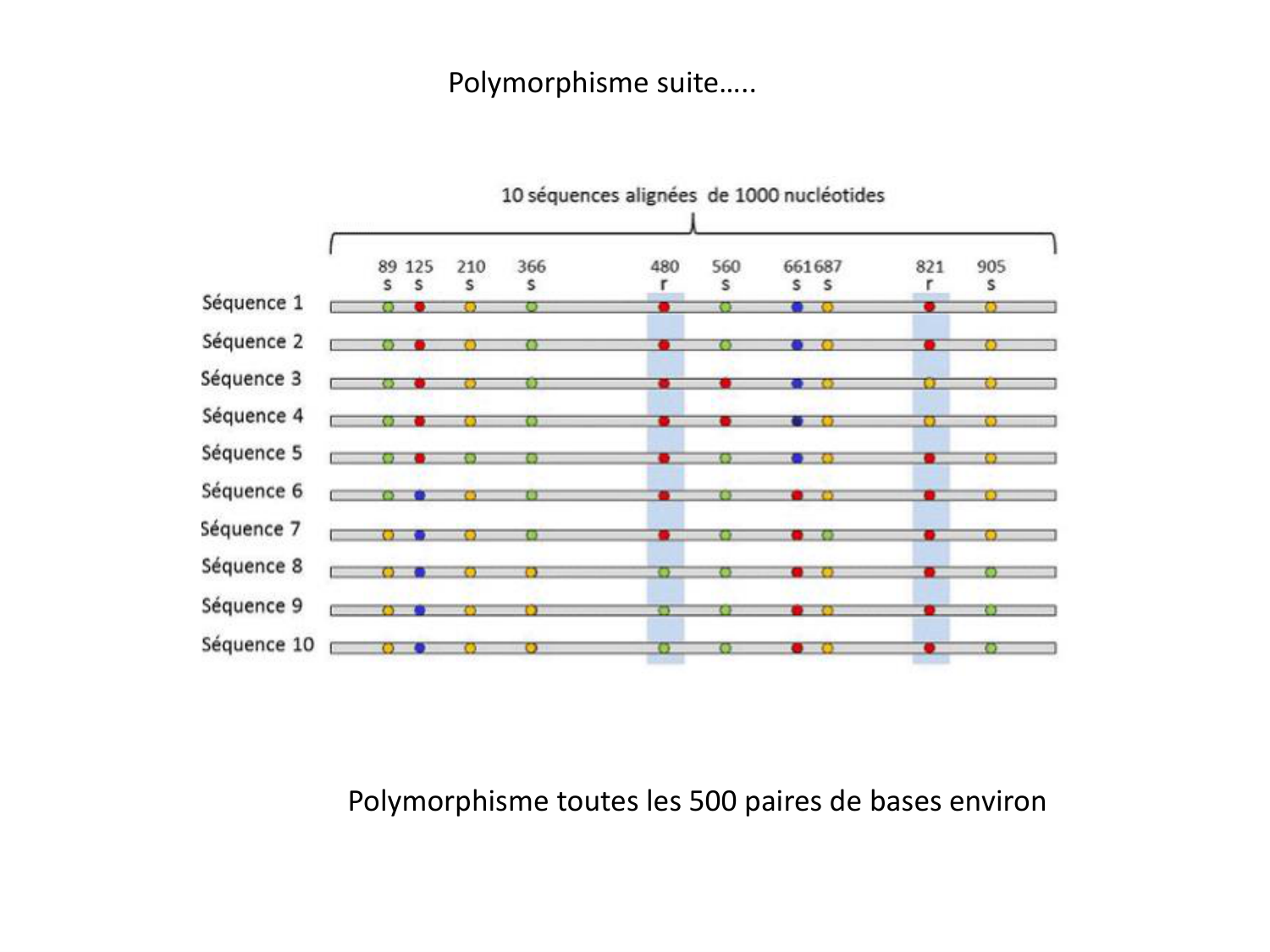 Cours HLA 2026 jv page 11