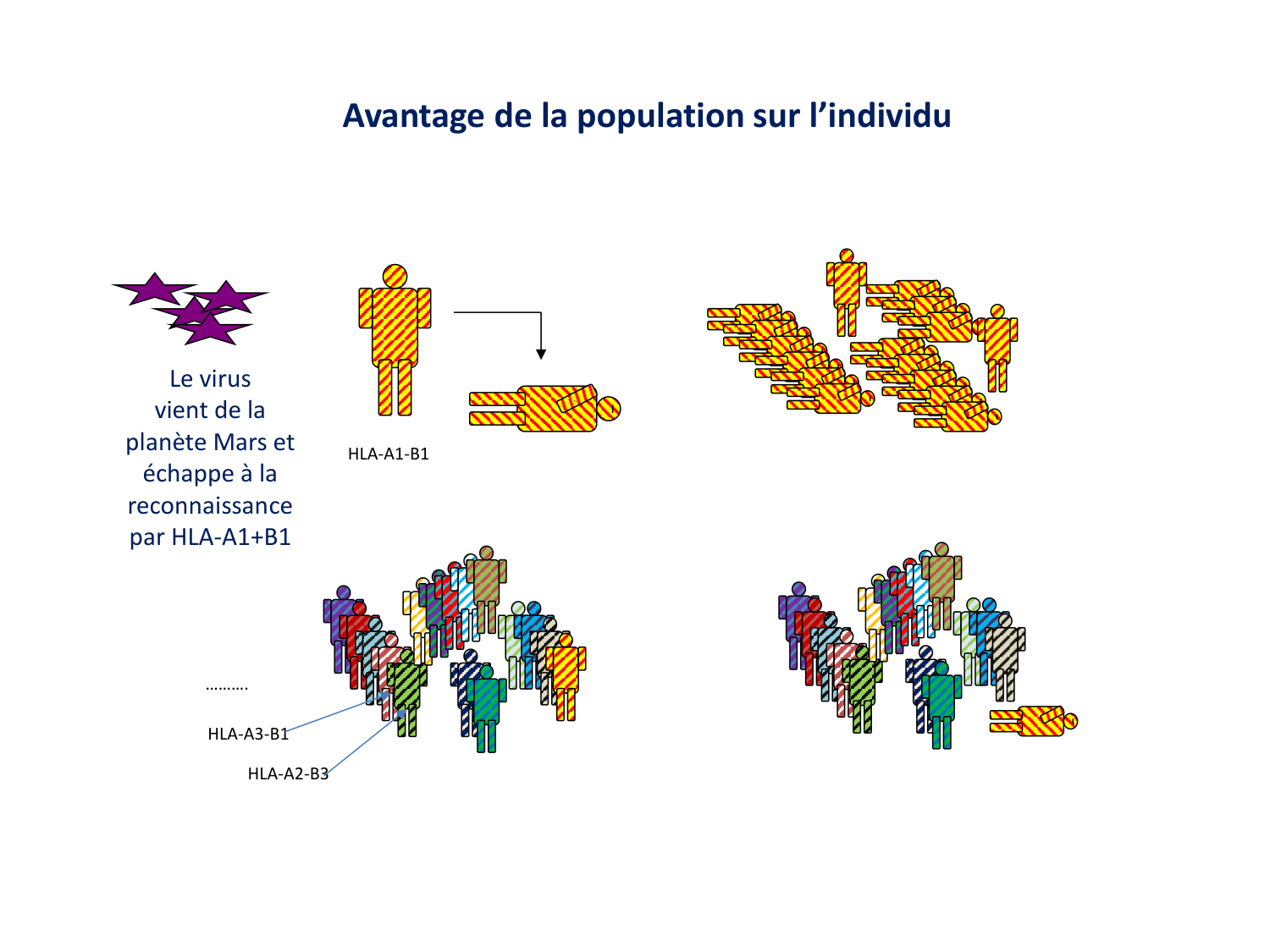Cours HLA 2026 jv page 13