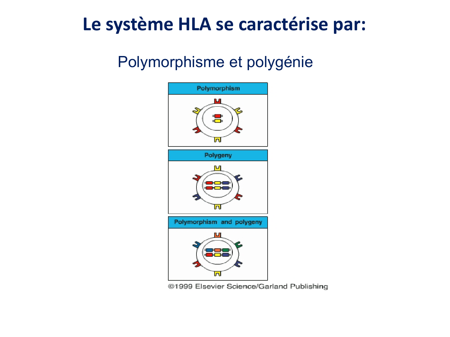 Cours HLA 2026 jv page 18