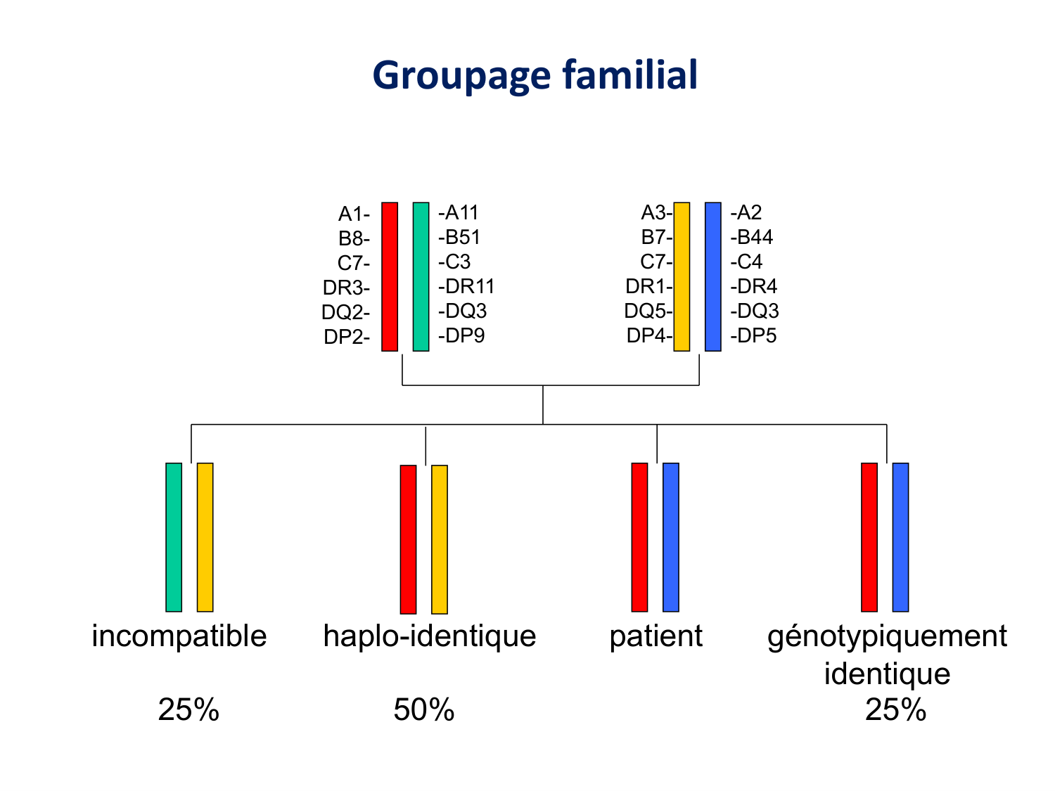 Cours HLA 2026 jv page 23
