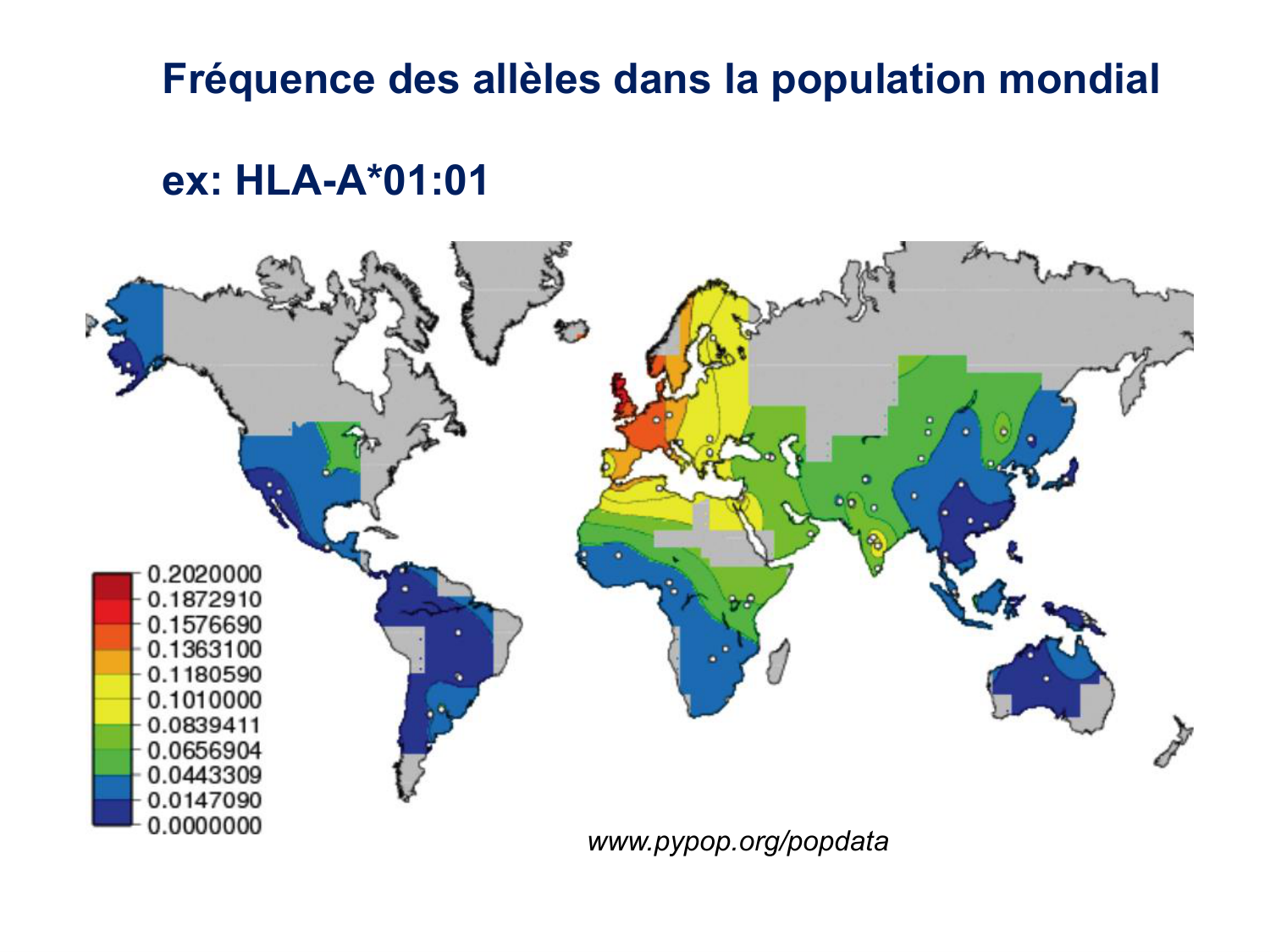 Cours HLA 2026 jv page 25