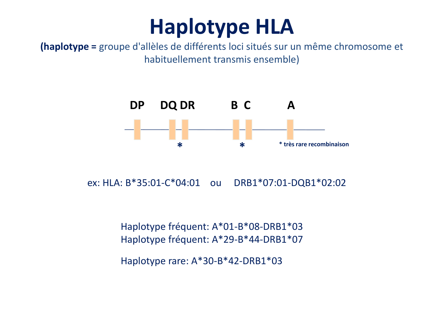 Cours HLA 2026 jv page 26