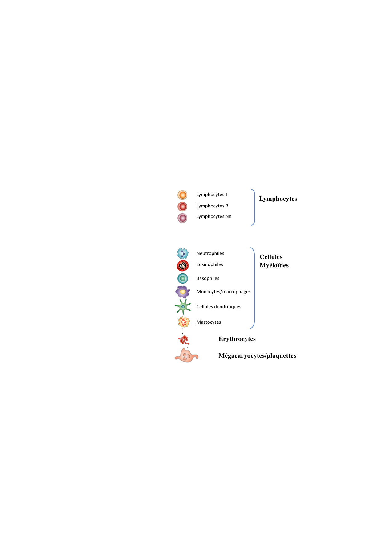 Cours1-DevSystImmun2026 page 12