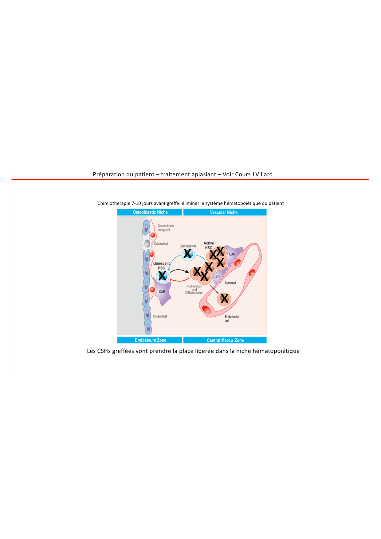 Cours1-DevSystImmun2026 page 55