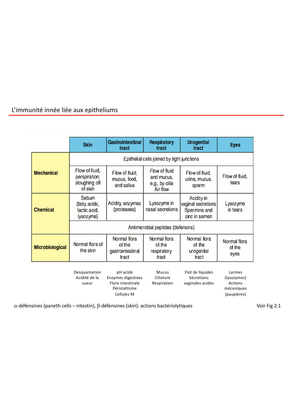 Cours2-ImmuniteInnee2026 page 7