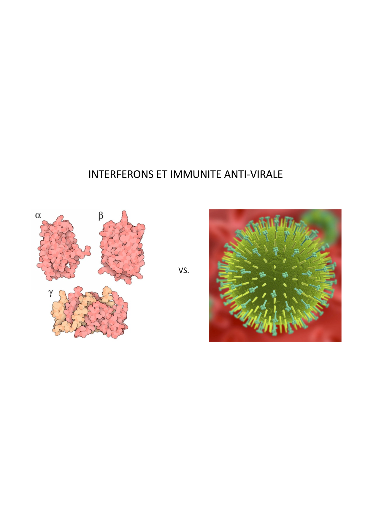 Cours2-ImmuniteInnee2026 page 19