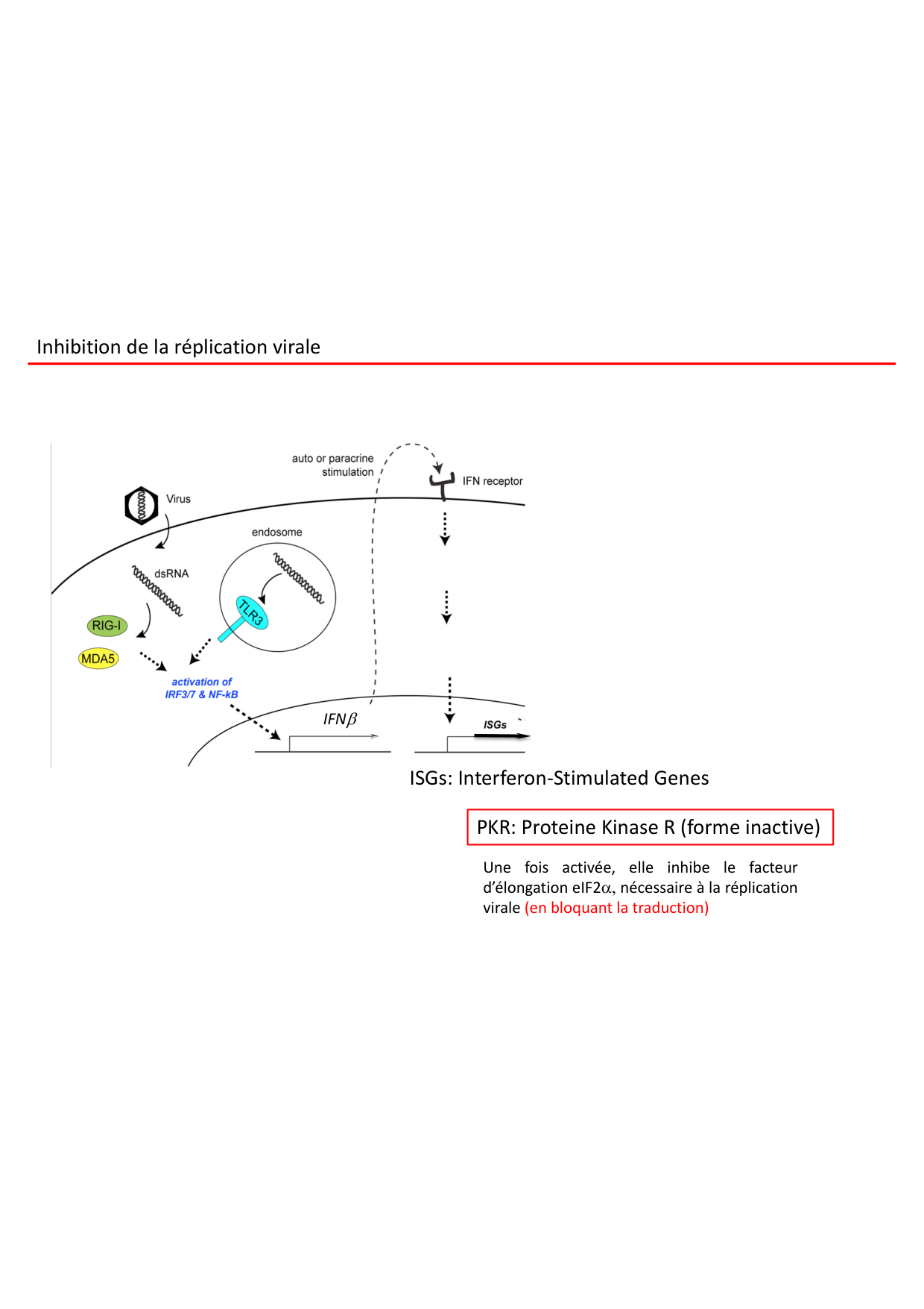 Cours2-ImmuniteInnee2026 page 28