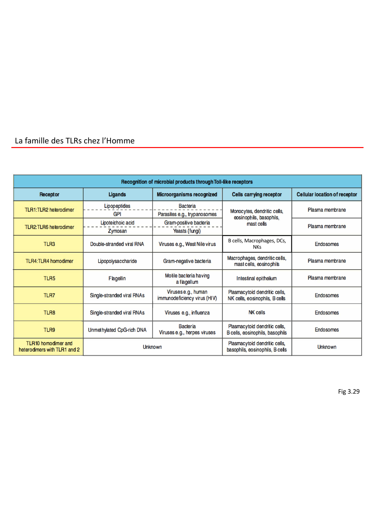 Cours2-ImmuniteInnee2026 page 52