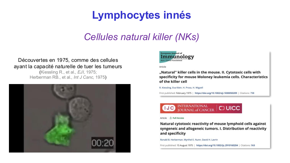 Fonction des cellules lymphoïdes innées page 3