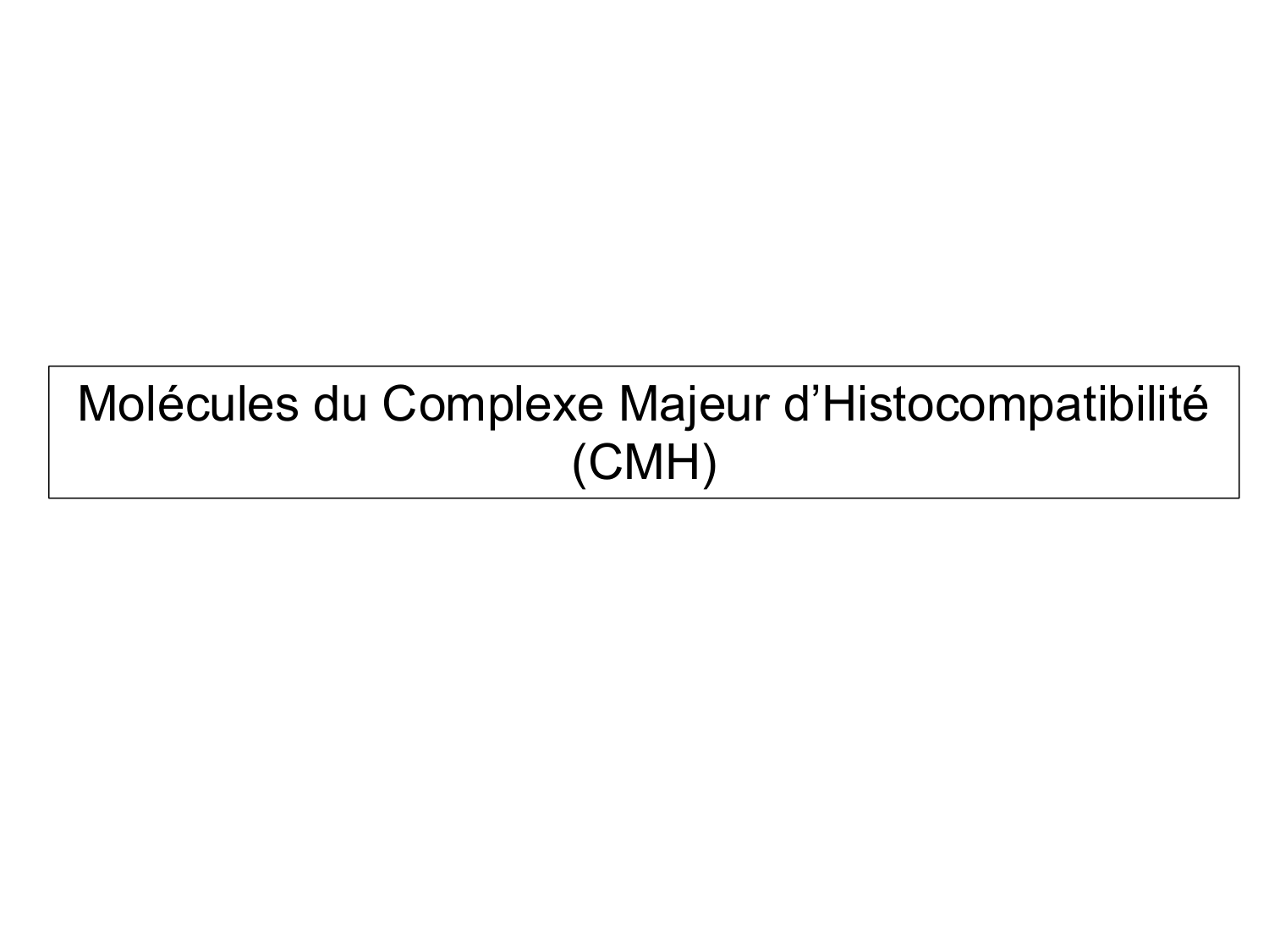 ImmuniteAdaptative LT Hugues2026 page 17