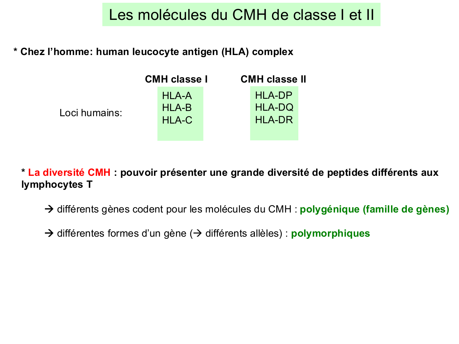 ImmuniteAdaptative LT Hugues2026 page 19