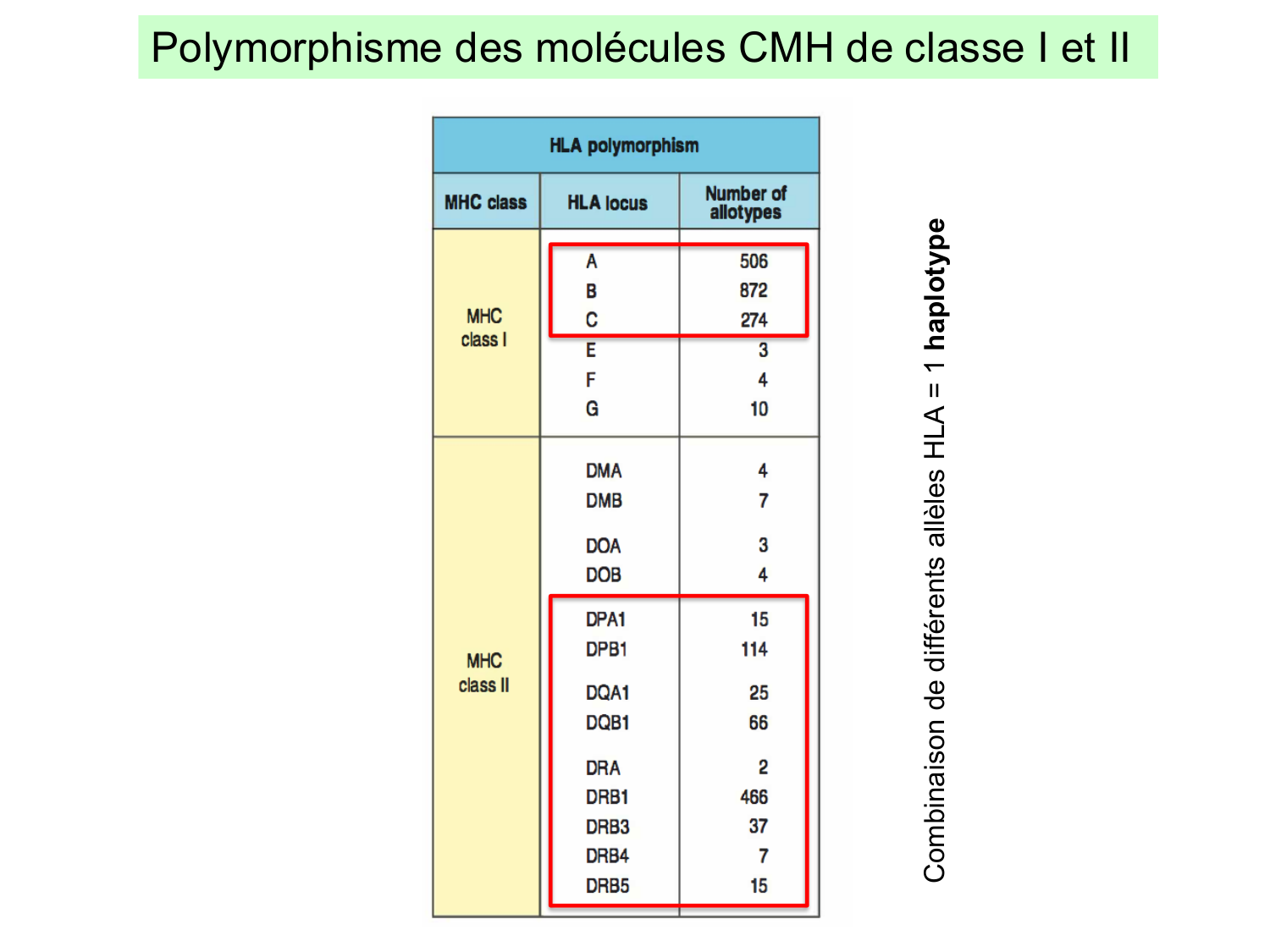 ImmuniteAdaptative LT Hugues2026 page 21