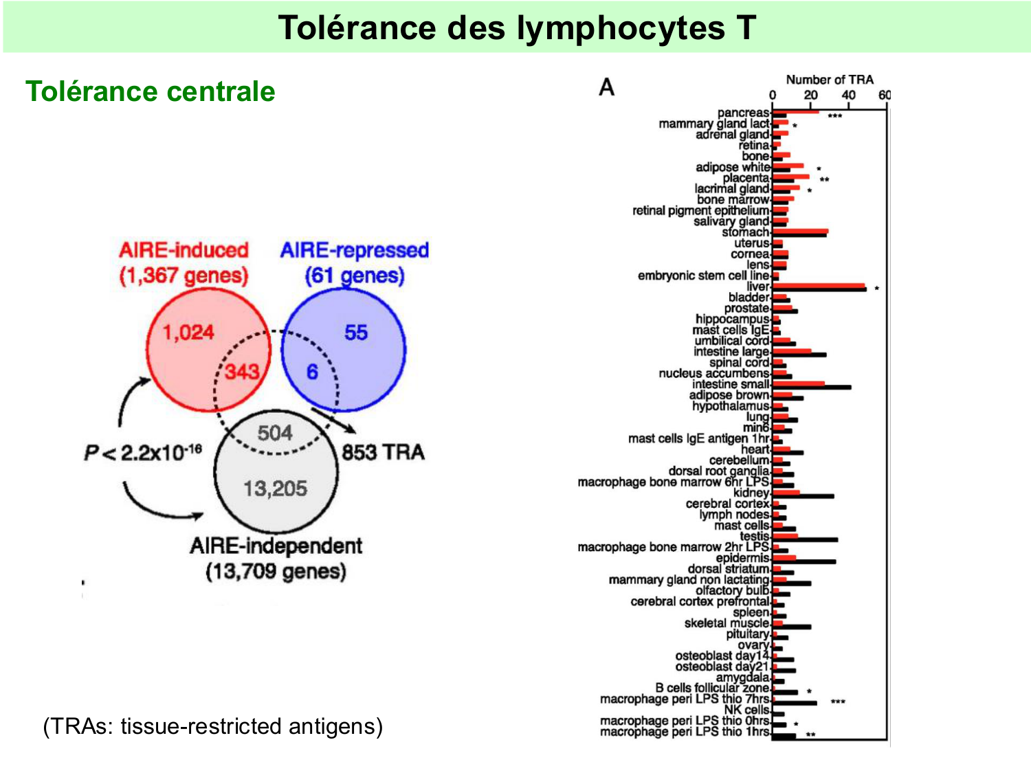 ImmuniteAdaptative tolérance-memoire Hugues2026 page 4