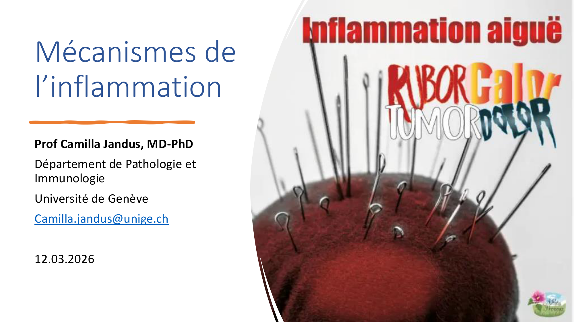 Mécanismes de linflammation page 1