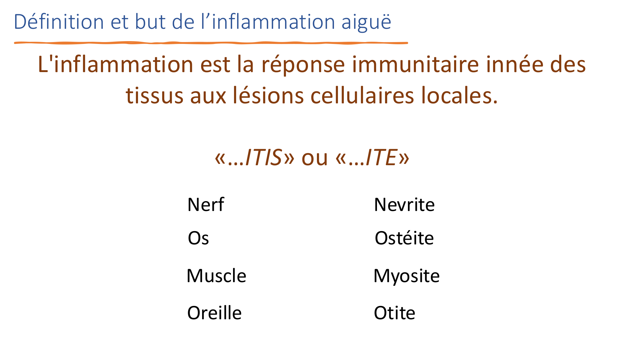 Mécanismes de linflammation page 6