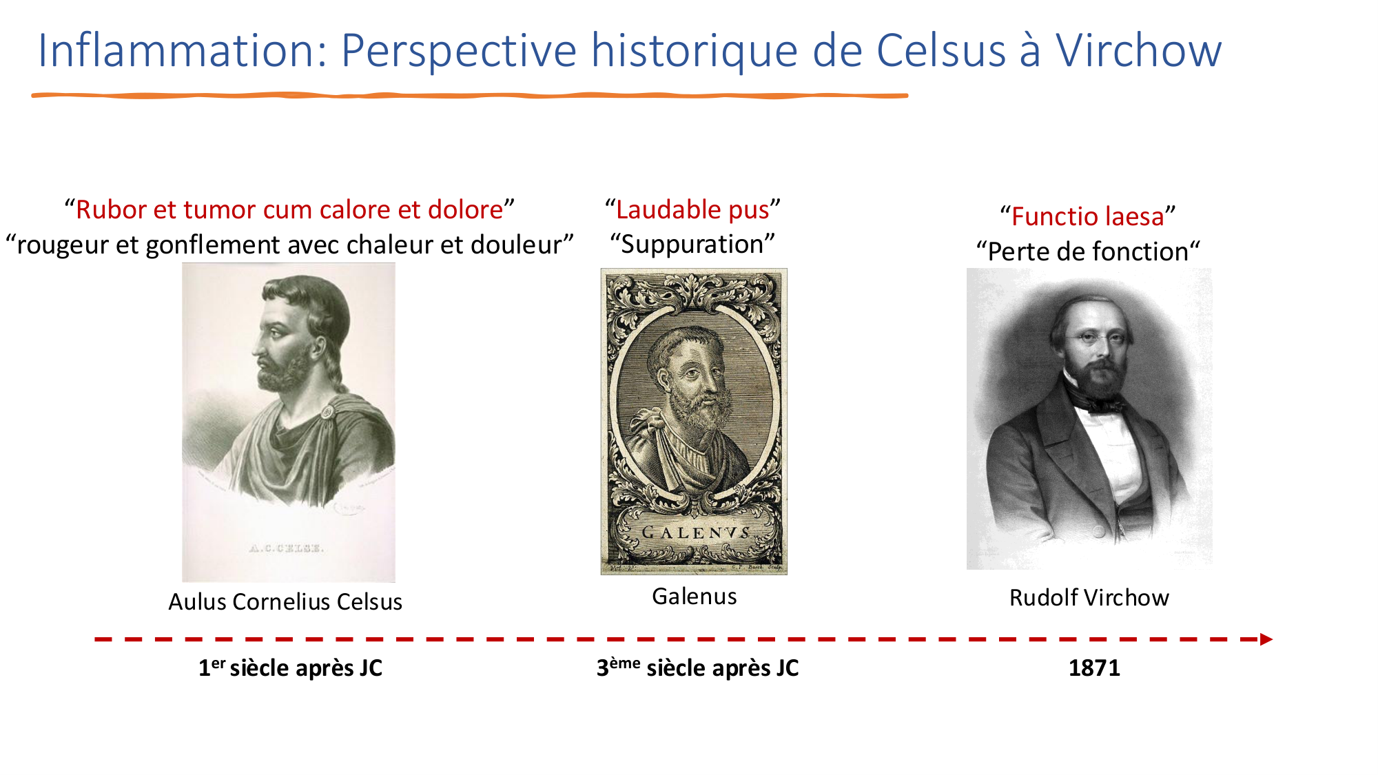 Mécanismes de linflammation page 7