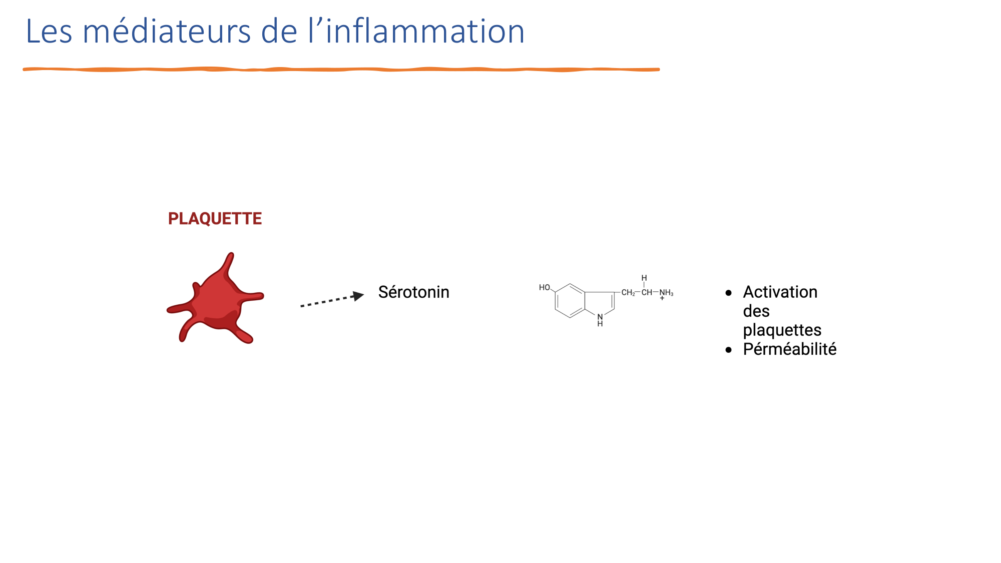 Mécanismes de linflammation page 26