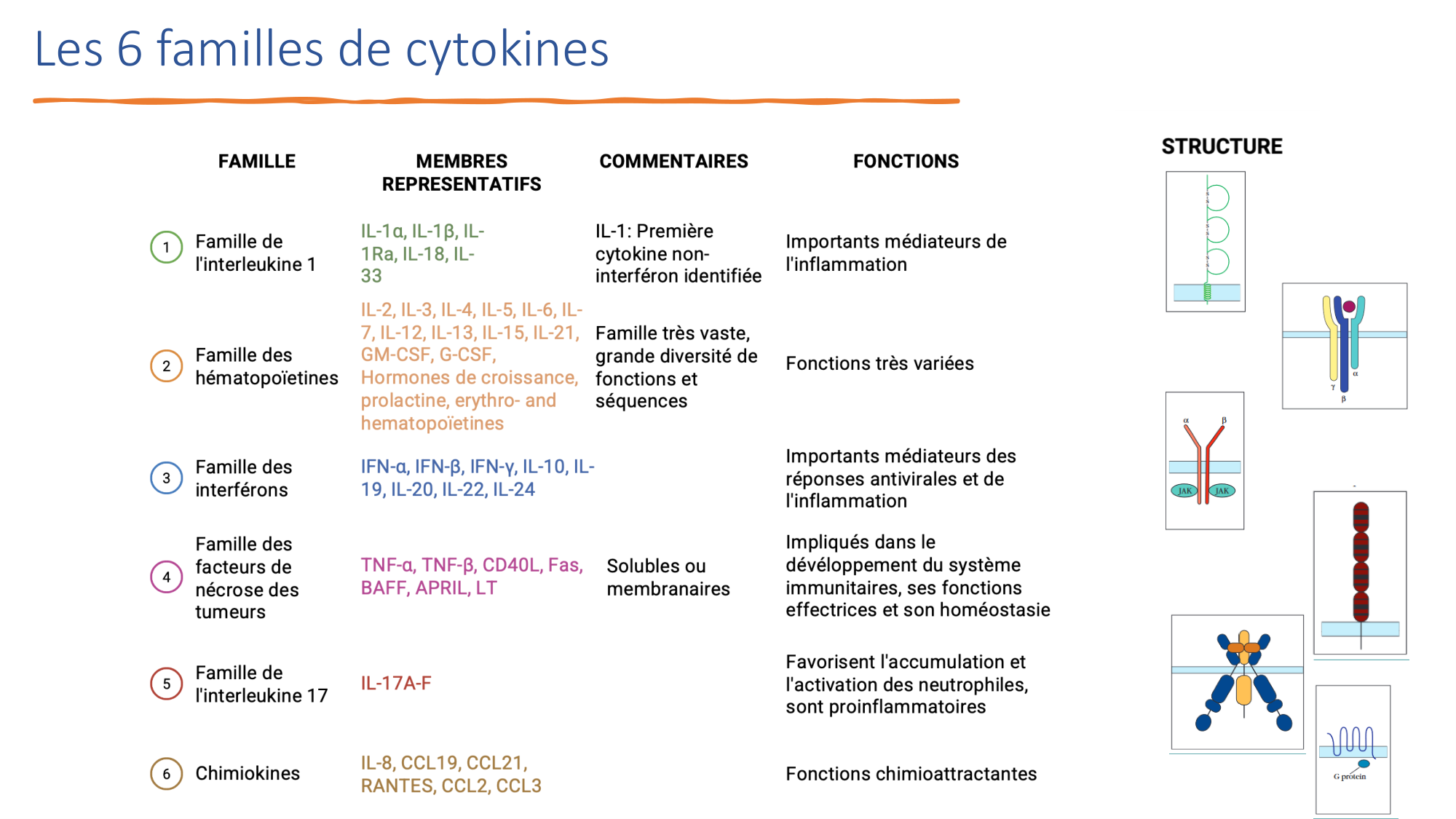 Mécanismes de linflammation page 31