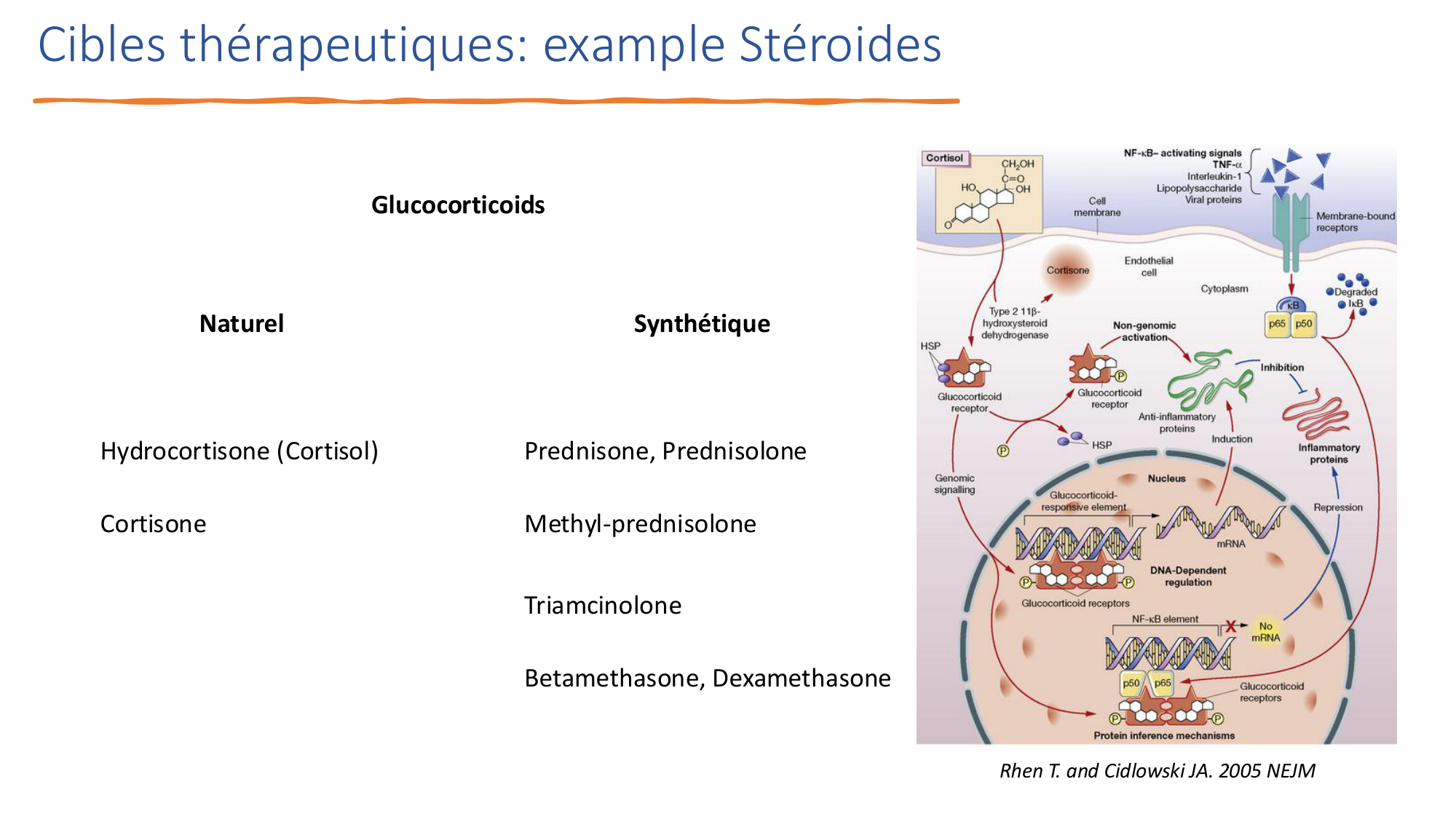 Mécanismes de linflammation page 41