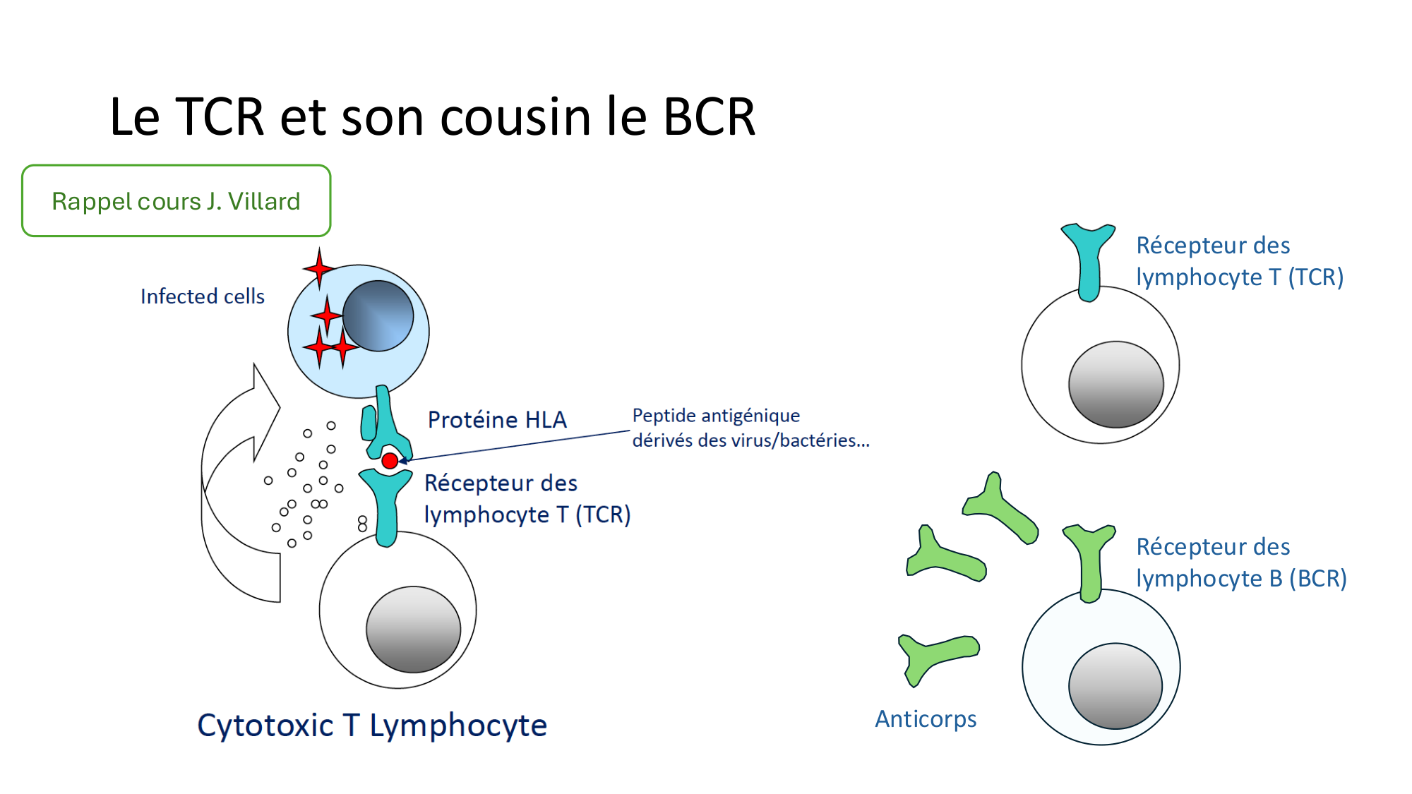 Répertoires B et T page 2