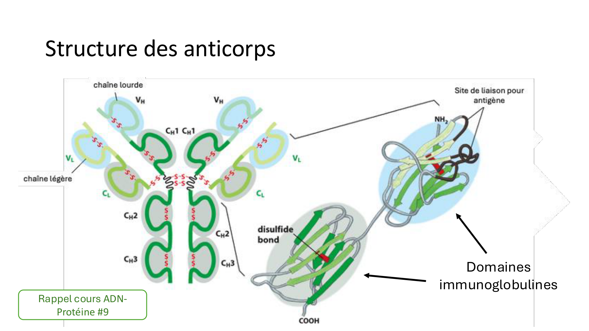 Répertoires B et T page 3