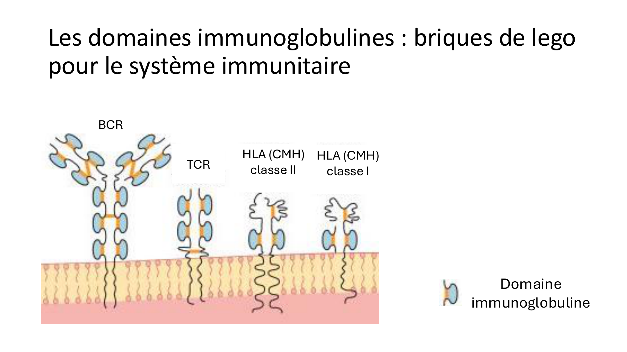 Répertoires B et T page 4