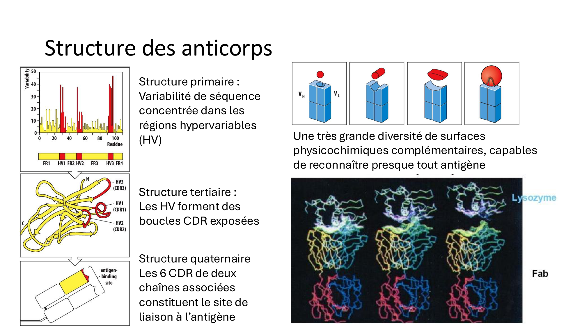 Répertoires B et T page 6