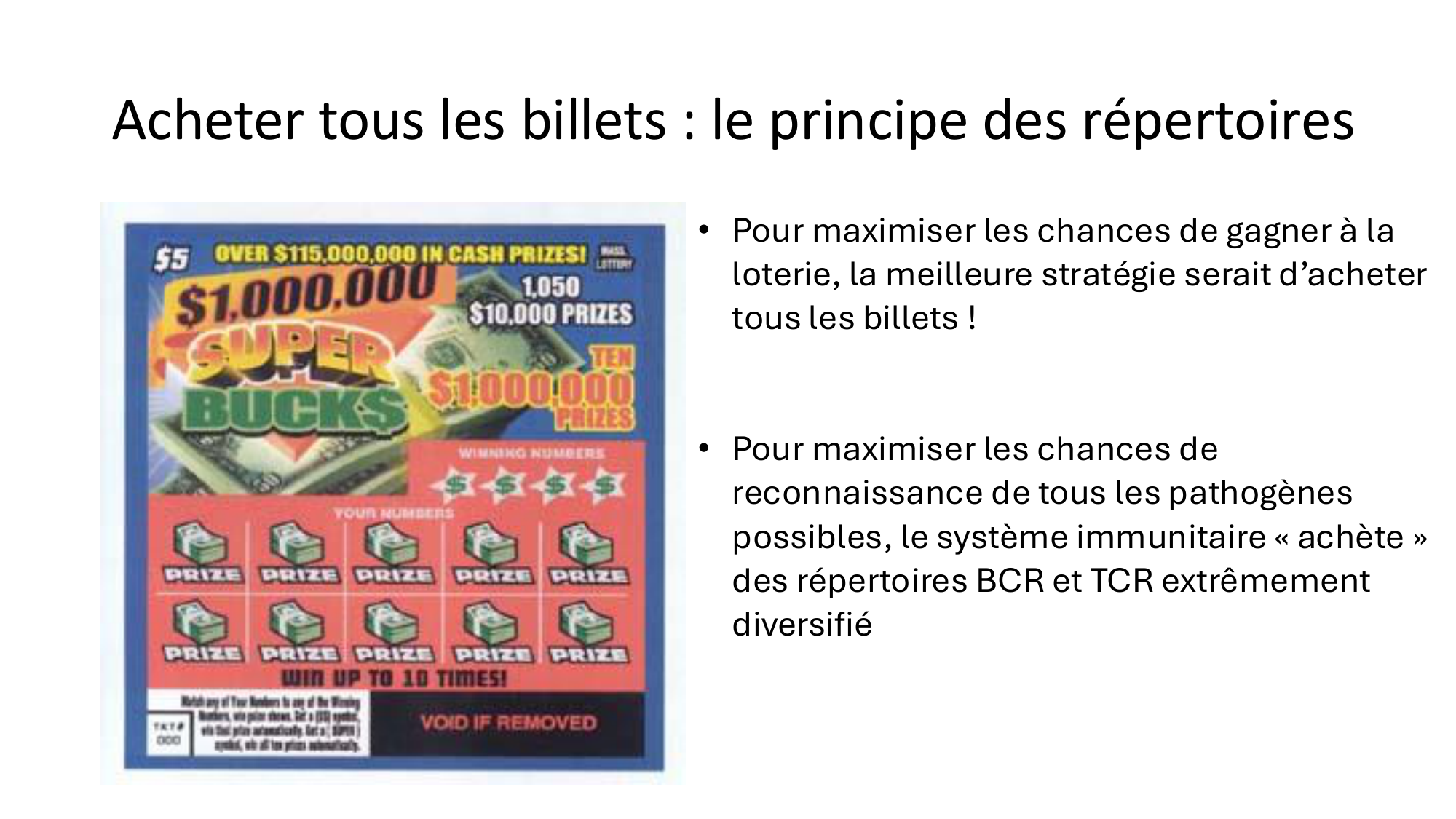 Répertoires B et T page 7