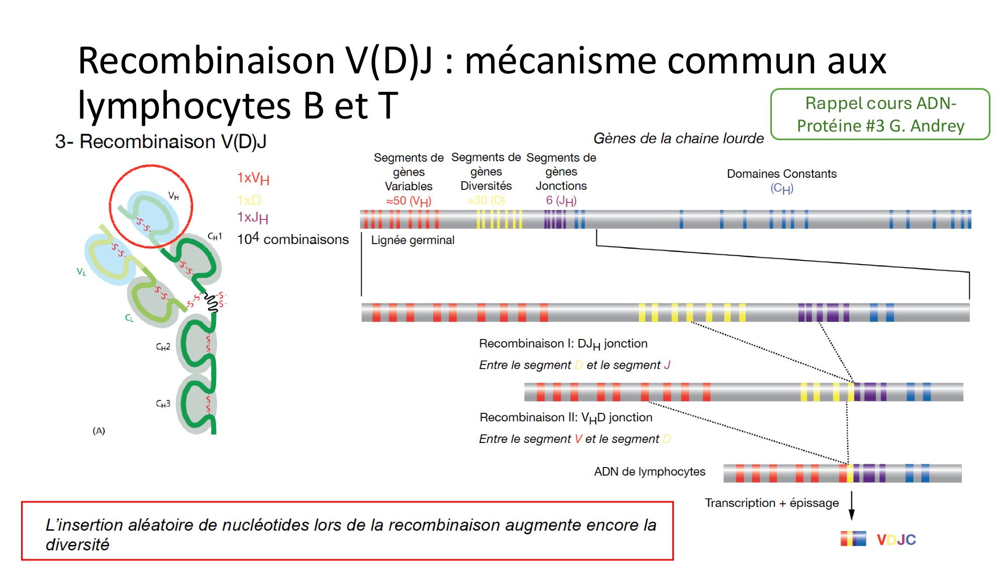 Répertoires B et T page 8